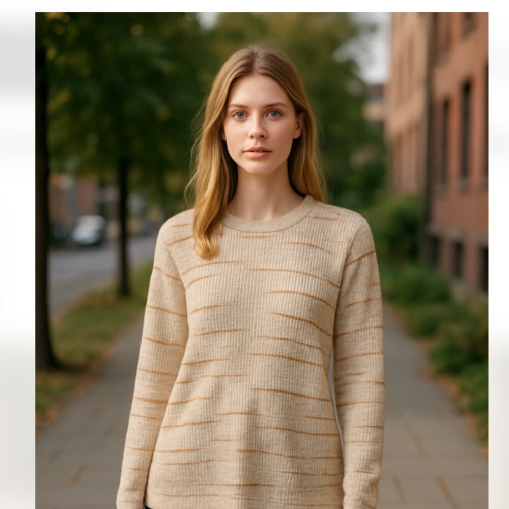 NWOT Jill Boat Neck k Intarsia Striped Tunic Sweater Top